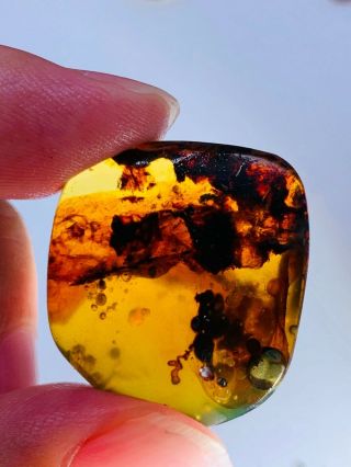 5.  13g plant&mineral Burmite Myanmar Burmese Amber insect fossil dinosaur age 3