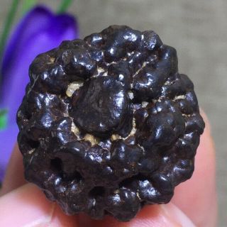 Rare Carbonado Black Diamond Meteorite Rare Specimen 19g K1043