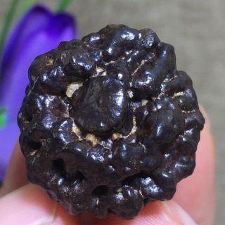 Rare Carbonado Black Diamond Meteorite Rare Specimen 19g k1043 2