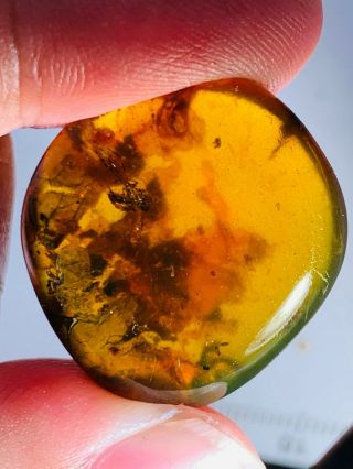 2.  93g Fky&plant Residue Burmite Myanmar Burmese Amber Insect Fossil Dinosaur Age