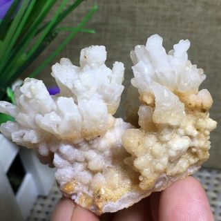 Rare Natural Cubic White Calcite Quartz Crystal Mineral Specimen Healing K913