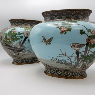 Antique Powder Blue Japanese Cloisonne Vases W/ Birds Very Large Size