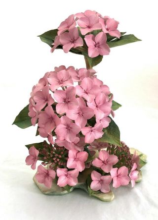 Limited 4 Of 50 Connoisseur Of Malvern Bone China Pink Wave Hydrangea Flower
