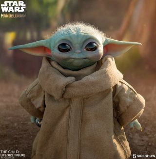Sideshow The Child (baby Yoda) Life Size Figure.  Confirmed.  Ships 11/5