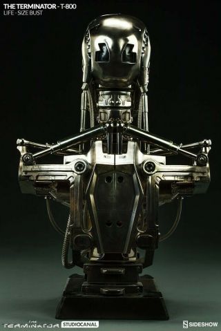 Sideshow Life Size 1/1 Full Scale Terminator Endoskeleton T - 800 Bust - 3