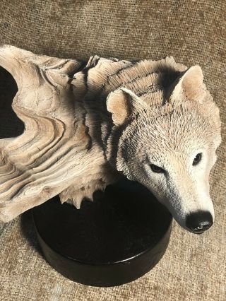 Rick Cain White Wolf Limited Edition Lone Hunter 405 Sculpture Art Wood W Card