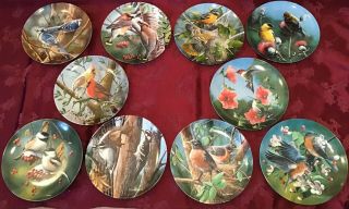 Encyclopedia Britannica Birds Of Your Garden Plates Full Set Of 10 Kevin Daniel