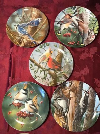 Encyclopedia Britannica Birds of Your Garden Plates Full Set of 10 Kevin Daniel 2