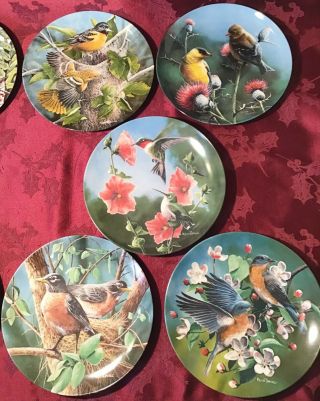 Encyclopedia Britannica Birds of Your Garden Plates Full Set of 10 Kevin Daniel 3