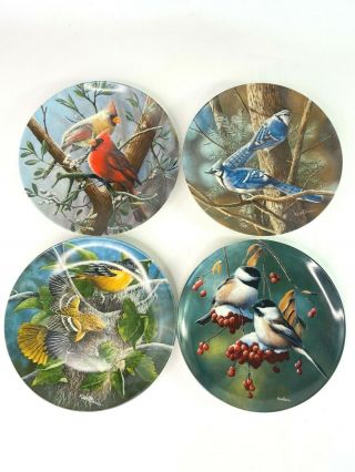 Encyclopedia Britannica Birds of Your Garden Plate Full Set of 10 Kevin Daniel 2