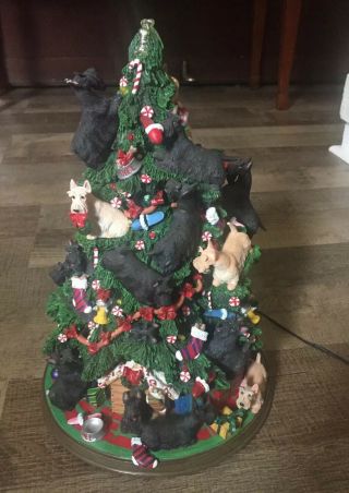 Danbury - Scottish Terrier - Christmas Tree Lighted