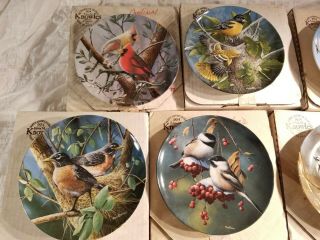BIRDS OF YOUR GARDEN by KEVIN DANIEL KNOWLES PLATES (SET OF 10) ' S & BOXES 2