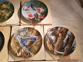 BIRDS OF YOUR GARDEN by KEVIN DANIEL KNOWLES PLATES (SET OF 10) ' S & BOXES 3
