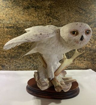 Franklin The Snowy Owl By George Mcmonigle Porcelain Sculpture W/wood Base