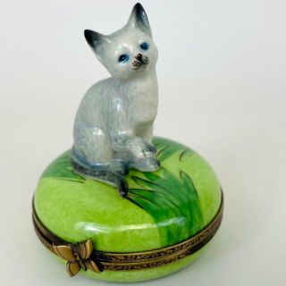 Limoges France Peint Blue Grey Cat Kitten Green Butterfly Porcelain Trinket Box