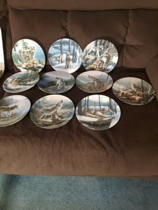 10 Knowles Collector Plates Call Of The Wilderness Wolves