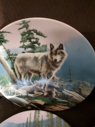 10 Knowles collector plates call of the wilderness wolves 3