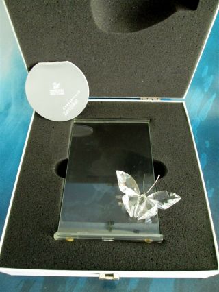 Swarovski Crystal Butterfly Picture Frame 211742 Retired Certificate