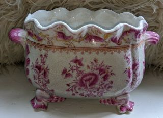 Juwc Antique United Wilson 1897 Pink And Cream Porcelain Footed Planter
