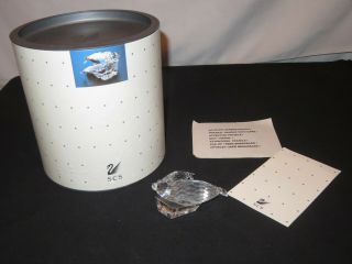 Swarovski Crystal Save Me The Seals Mother Baby Scs 1991 Figurine Box (z483