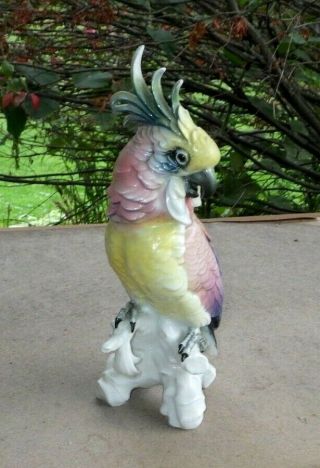 Vintage Karl Ens Germany 11 1/4 " Porcelain Cockatoo Bird