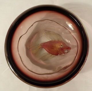 Vintage Unique Art Glass Small Bowl With Hand Painted Gold Fish On Bottom