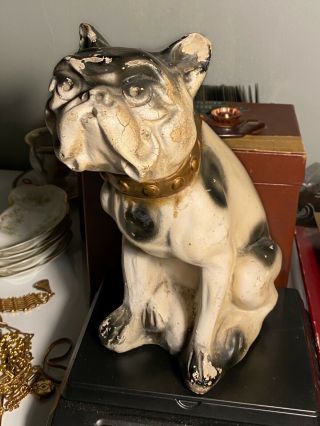 Vtg Antique 9.  5 " French Bulldog Frenchie Chalkware Carnival Fair Prize Dog