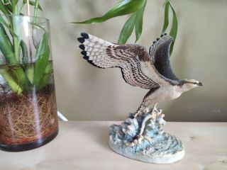 Border Fine Arts Scotland Vintage Porcelain White Tailed Eagle Bird Figurine