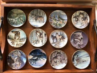 The Year Of The Wolf Collectors Plates By Al Agnew 12 Mini Plates Set