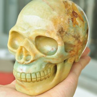 4.  7 " Natural Chinese Amazonite Carved Crystal Skull Human Statue Healing Energy