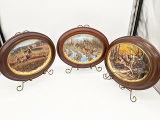 Set Of 3 Bradford Exchange Decorative Plates Trail Of The Whitetail Framed