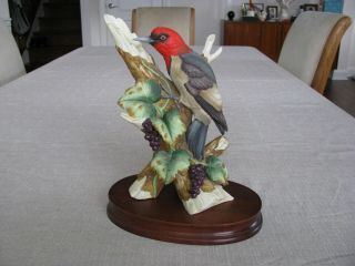 Vintage " Andrea By Sadek " Redheaded Woodpecker Bird Porcelain Figurine With Base