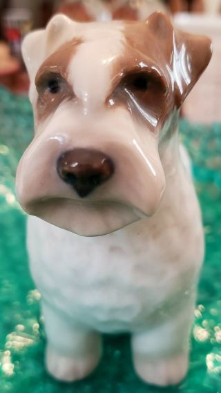 Royal Copenhagen Dog Wire - Haired Terrier Porcelain Figurine 6.  5 " X4.  5 "