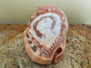 Vintage Sea Conch Shell With Cameo Carved Lady