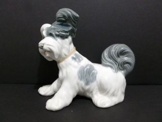 Cute Lladro Skye Terrier (white/ Gray/ 6 " Tall) Dog 4643 Rare Item Spain 6367