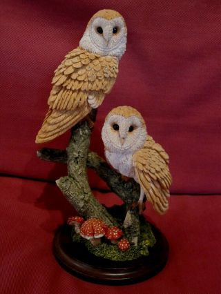 Stunning Country Artists Lang Ford Barn Owls Bird Figurine