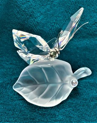 Swarovski Crystal Butterfly On Frosted Leaf 7615000003 182920 Pristine,  No Box