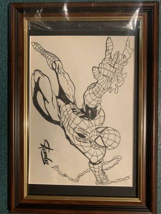 Stan Lee Spider - Man Extremely Rare Hand Drawn Sketch Signed Autograph Letter