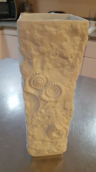 A K Kaiser Pottery West Germany White Matte “fossils” Bas - Relief Vase Porcelain