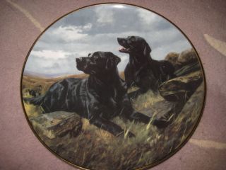 Franklin " Ready To Go " Royal Doulton Limited Edition Plate,  8 " Diameter