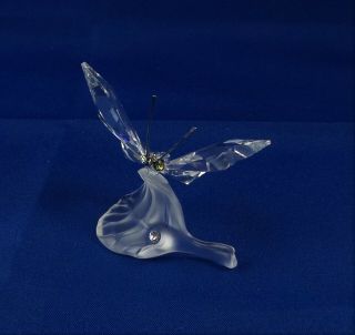 Swarovski Crystal Butterfly On Leaf Figure / Figurine 182920
