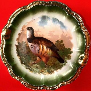 Antique P.  M.  Bavaria Game Bird Plate Hand Painted 10 " Thick Gold Scallops