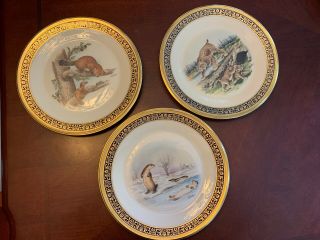 Set Of 3 Lenox Boehm Woodland Wildlife Collectors Plates: Otters Bobcats Martens