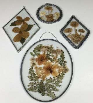 Vintage Pressed Dried Flowers Set Of 4 Metal Frames Various Shapes And Sizes