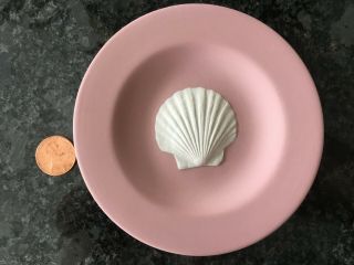 Vintage Wedgwood China Pink White Jasperware Shell Pattern Small Plate 4.  25 "