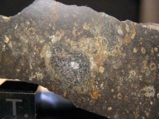 Meteorite Nwa 8190 - Carbonaceous Chondrite : Ck3 - Endcut With Big Cai