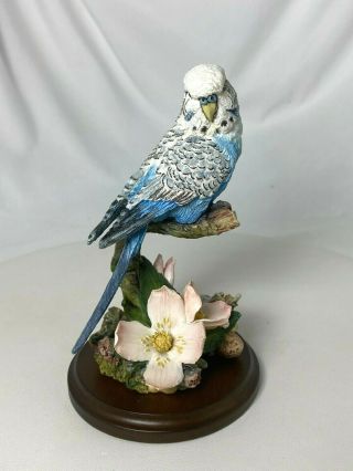Country Artists For The Discerning,  Parakeet With Clematis 01632