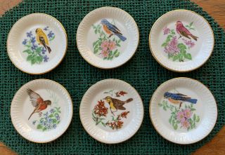 Vtg Cassidy’s Ltd Set Of 6 Bird Audubon Decorative Plates With Gold Rim W German