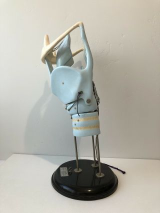 Clay Adams 2054 Durable Larynx Anatomical Model Vintage 2