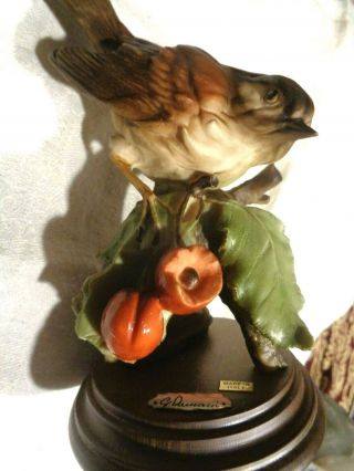 Vtg G Armani Capodimonte Brown Sparrow Bird Figurine W/cherries Italy Wood Base